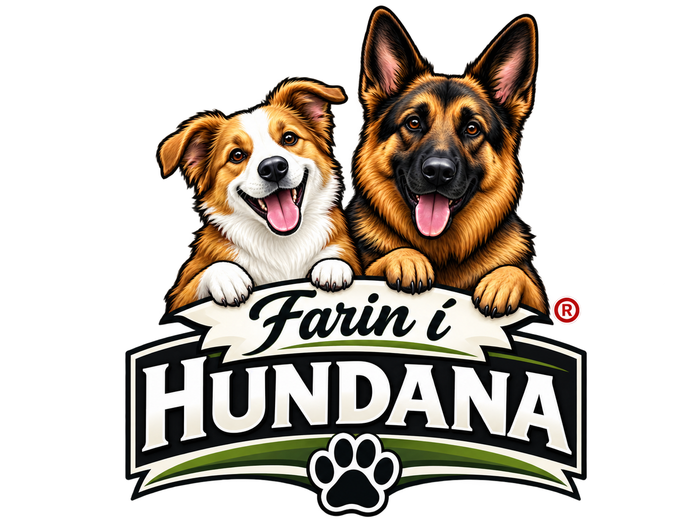 Farin í hundana